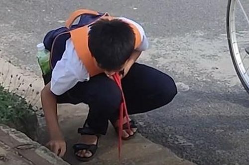 Gặp cậu bé nhặt rác thông miệng cống khiến dân mạng cảm phục