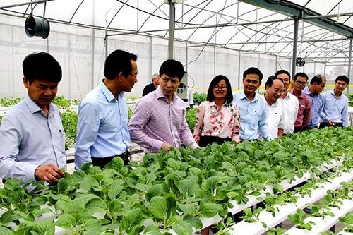 Nghi Xuân nỗ lực cho chặng đường phía trước