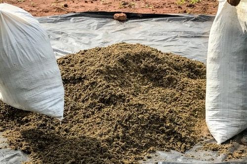 Paraguay thu giữ gần 10 tấn cần sa, nghi ngờ Brazil là điểm tiếp nhận