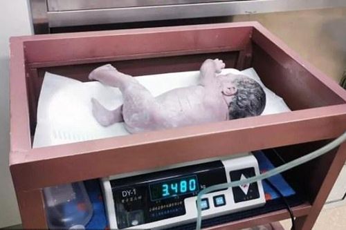 Trung Quốc: Hai anh em sinh đôi cách nhau… 10 năm