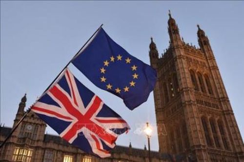 Mối liên hệ giữa EU, Brexit và COVID-19 thời gian tới