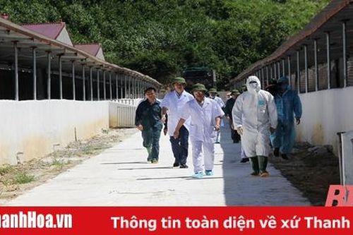 Thứ trưởng Bộ NN&PTNT kiểm tra công tác khôi phục sản xuất chăn nuôi lợn trên địa bàn tỉnh Thanh Hóa