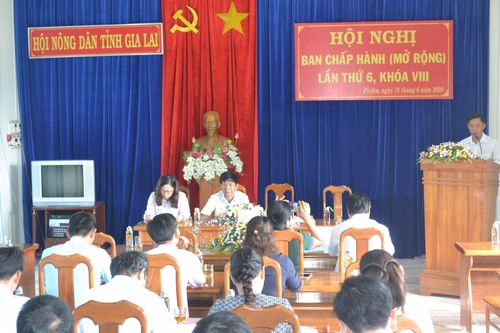 Hội Nông dân tỉnh Gia Lai triển khai nhiệm vụ 6 tháng cuối năm