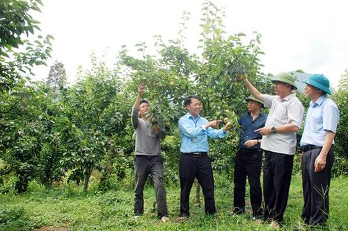 Thêm 46 dự án nông nghiệp được đầu tư từ nguồn vốn xây dựng nông thôn mới