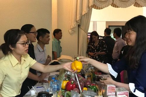 Tăng cường hợp tác giao thương giữa doanh nghiệp 3 tỉnh Lâm Đồng, Ninh Thuận và Bình Thuận
