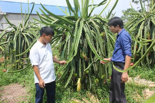 Để lòng dân đồng thuận