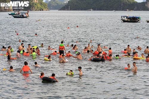 Hàng trăm dân Hạ Long đua nhau tắm ở khu vực cấm, thản nhiên giỡn mặt 'hà bá'