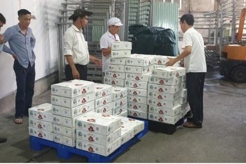 Trên 2 tấn vải thiều đầu tiên đã đến Nhật Bản
