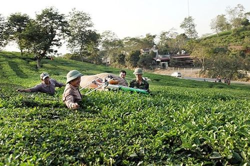 Ứng dụng khoa học công nghệ phục vụ xây dựng nông thôn mới
