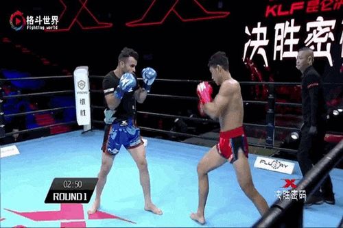 Tung một cước, nữ võ sĩ UFC khiến đối phương ngất xỉu