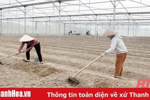 Các doanh nghiệp thành lập mới giải quyết việc làm cho 8.559 lao động