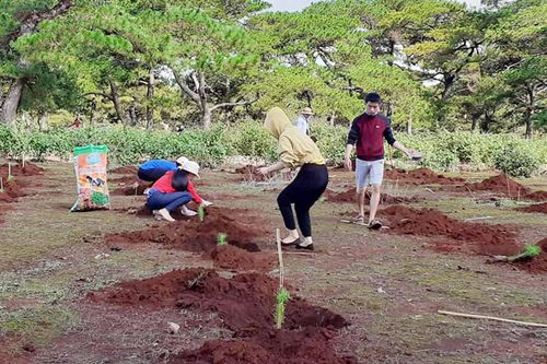 Ra quân 'Tết trồng cây-Đời đời nhớ ơn Bác Hồ'