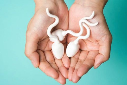 Liệu đồ ăn hàng ngày có khả năng làm thay đổi mùi của tinh dịch không?