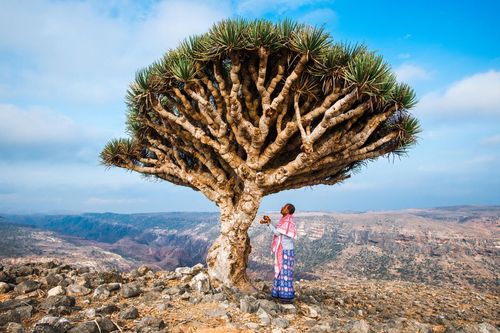 Phe ly khai ở Yemen phế truất thống đốc, chiếm đảo Socotra