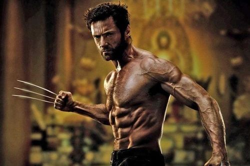 Cứ ngỡ bị ghét, hóa ra chó sói lại là nhân vật được cưng trong điện ảnh