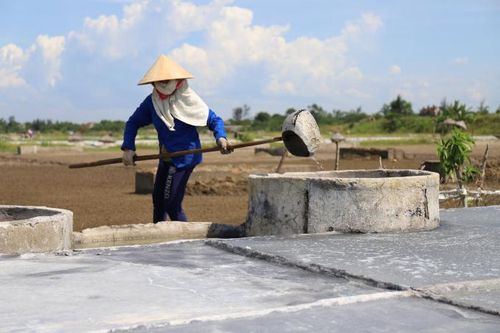 Nắng rát da, diêm dân Hà Tĩnh phơi mình trên ruộng muối