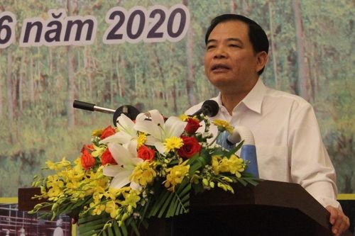 Tây Nguyên vẫn là 'điểm nóng' về phá rừng