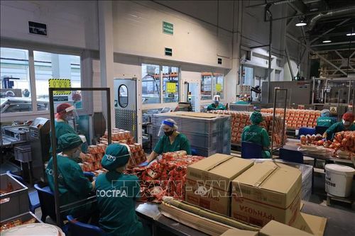 Doanh nghiệp Việt tại LB Nga vượt qua 'cơn bão' COVID-19