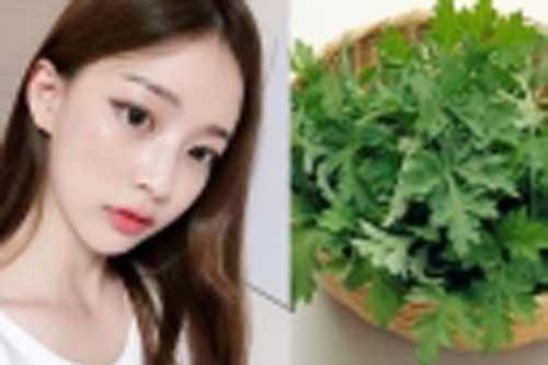 Lợi ích bất ngờ của ngải cứu: Không chỉ chữa bệnh mà còn là 'thần dược' trị mụn, trắng da
