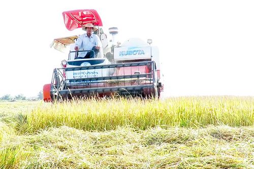 Hội Nông dân huyện Vạn Ninh: Hiệu quả từ các phong trào thi đua