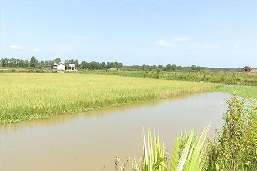 Xây dựng Đảng bộ trong sạch vững mạnh, đưa quê hương ngày càng đổi mới