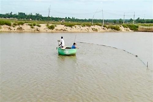 Xã Hiền Thành: Thu nhập 1,4 tỉ đồng/năm từ nuôi cá nước ngọt