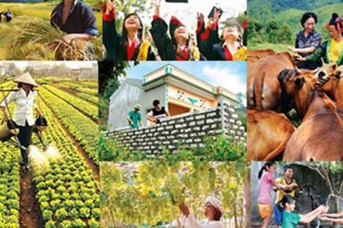 Tiếp tục triển khai phong trào Cả nước chung tay vì người nghèo