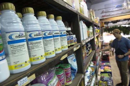 Hoa Kỳ, Brazil phản đối lệnh cấm nhập khẩu lúa mì, đậu nành của Thái Lan