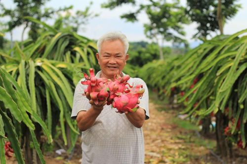 Đổi thay vùng đất khô cằn, nắng hạn