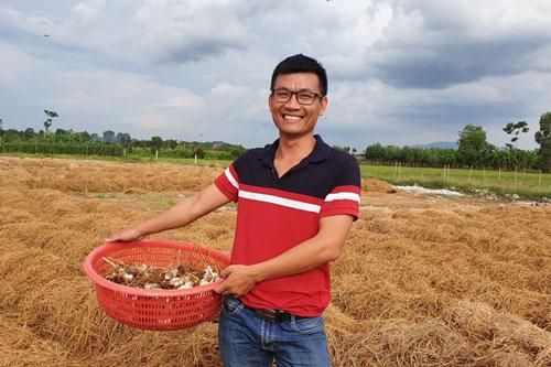 Bỏ ngang đại học vì 'vỡ mộng', 9X làm giàu với 2 trang trại nấm