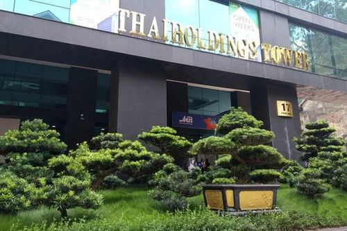 Thaihodings chi 3.300 tỷ đồng mua cổ phần Thaigroup: Cuộc đảo vai 'mẹ - con'