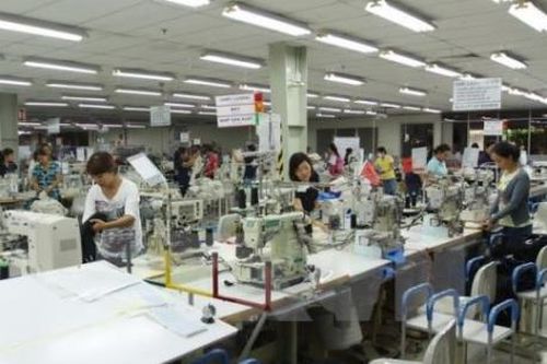 Bình Dương đề nghị xử lý hình sự các trường hợp trốn đóng Bảo hiểm xã hội