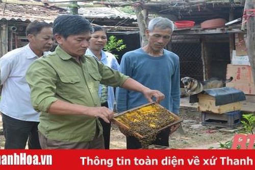Quỹ khí hậu xanh với đa dạng mô hình sinh kế thích ứng với biến đổi khí hậu