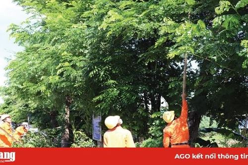 Chủ động ứng phó trước thiên tai