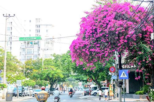 Ngày thứ tư không có gì