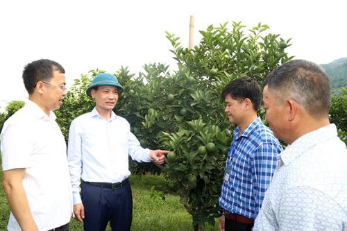 Khai thác tiềm năng, thế mạnh, từng bước chuyển dịch cơ cấu kinh tế hợp lý, bền vững