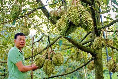 Đạ Huoai - Đâu chỉ là nơi dừng chân
