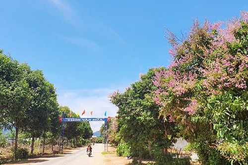 ''Quả ngọt'' thu được nhờ công tác dân vận khéo