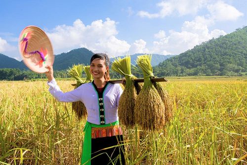 Mỹ Lung phát triển sản phẩm nông nghiệp hàng hóa