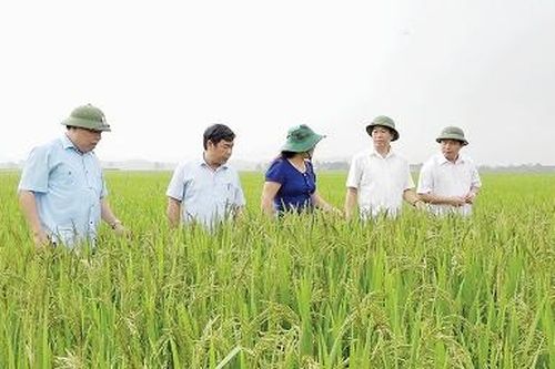 Phát huy sức mạnh đoàn kết, xây dựng Cẩm Khê sớm trở thành huyện nông thôn mới