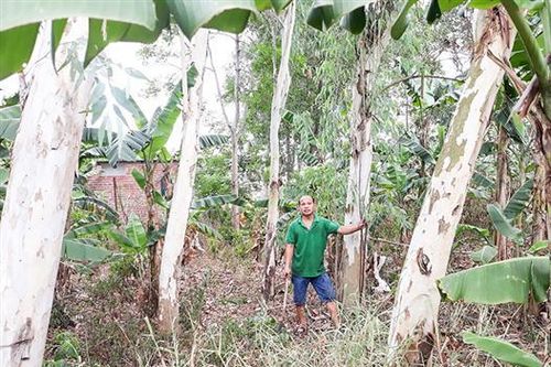 UBND Phường 3, thành phố Đông Hà: Chậm xác định nguồn gốc đất, ảnh hưởng quyền lợi của người dân