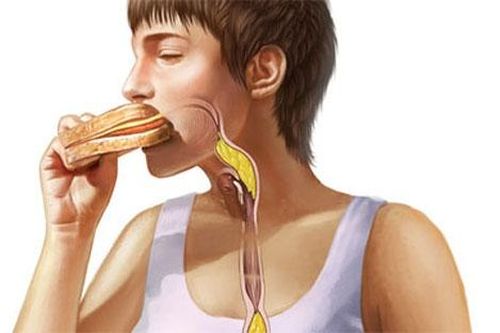 Khi đường tiêu hóa bất ổn...