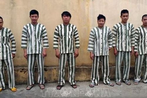 Gia Lai: Tạm giữ khẩn cấp 6 đối tượng trong vụ hơn 100m³ gỗ bị 'xẻ thịt'