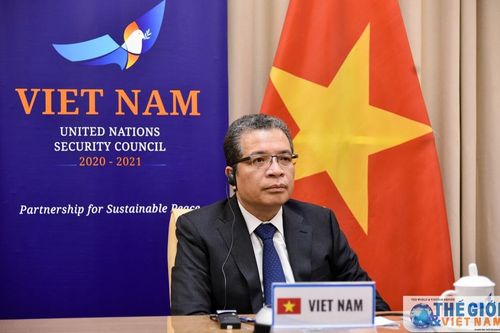 Việt Nam tham gia thảo luận trực tuyến về tình hình Trung Đông, bao gồm cả vấn đề Palestine