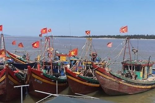 Bắt giữ 6 tàu cá giã cào đánh bắt sai vùng biển quy định