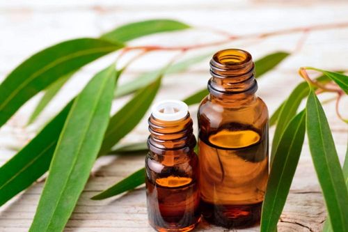 5 loại tinh dầu giúp giảm kiệt sức, ngăn ngừa sốc nhiệt ngày nắng