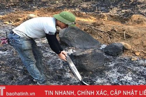 Vào cuộc điều tra sự việc trang trại 4,5ha keo tràm bị cháy trong đêm ở Kỳ Anh