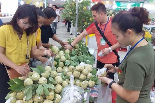 Lạng Sơn: Nhiều ưu đãi đặc thù cho nhà đầu tư sản xuất, tiêu thụ nông sản