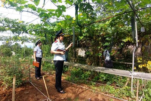 Chuyển biến tích cực trong quản lý chất lượng nông, lâm, thủy sản