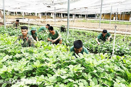 Lữ đoàn 25: Hiệu quả từ công tác hậu cần